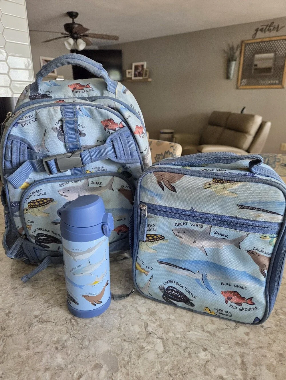 Pottery Barn Kids Shark & Sea Creatures Blue Backpack + Lunchbox Set